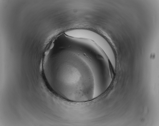 X0000090460019200707201343