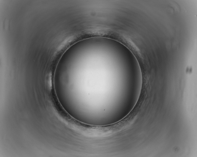 X0000090460020200707201343