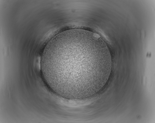 X0000090460022200707201343