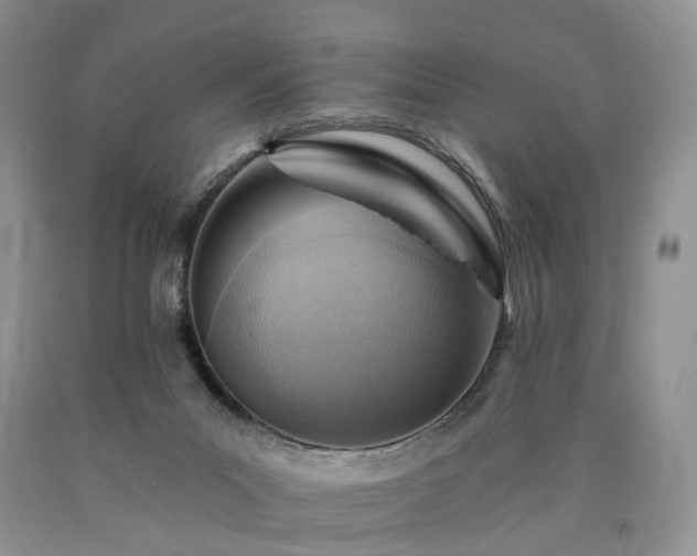 X0000090460023200707201343