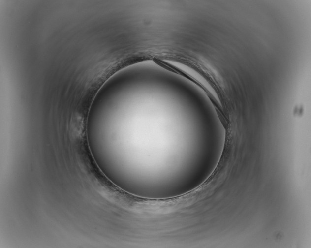 X0000090460025200707201343