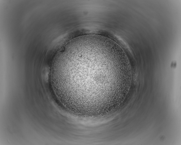 X0000090460026200707201343
