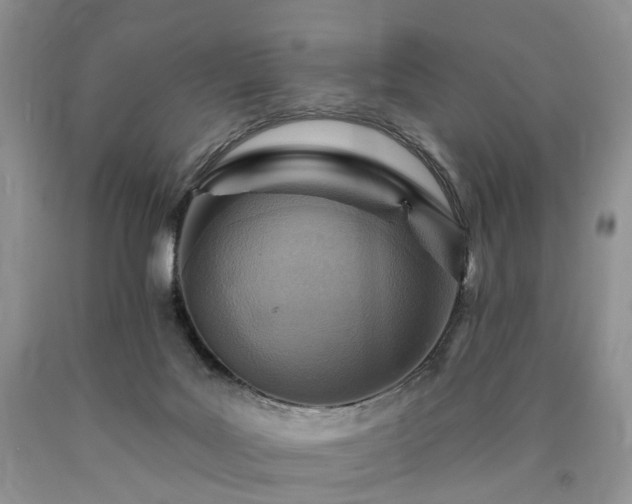 X0000090460027200707201343