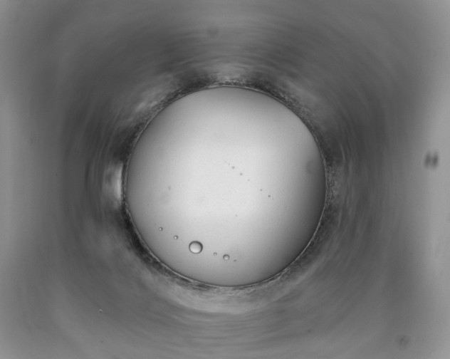 X0000090460028200707201343