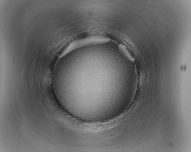 X0000090460029200707201343