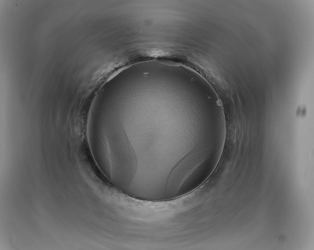 X0000090460031200707201343