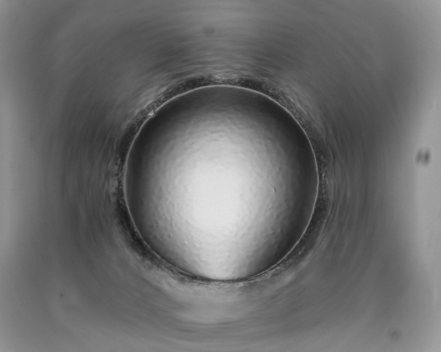 X0000090460032200707201343