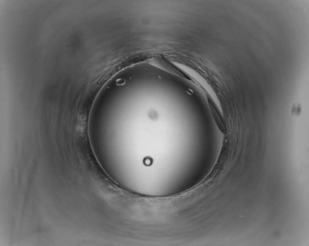 X0000090460033200707201343