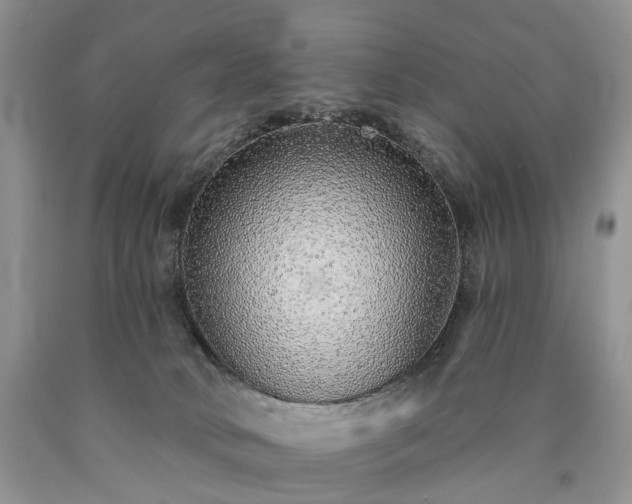 X0000090460034200707201343