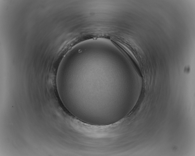X0000090460035200707201343
