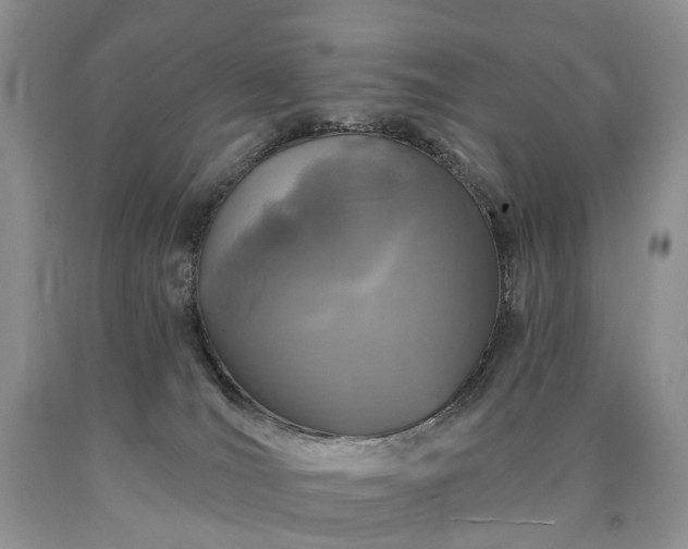 X0000090460036200707201343