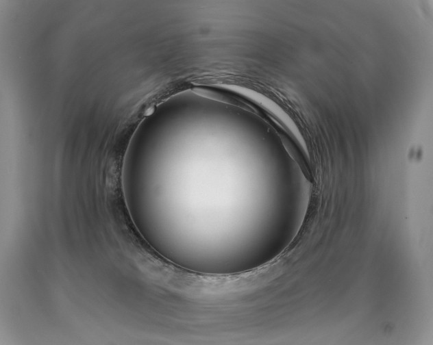 X0000090460037200707201343