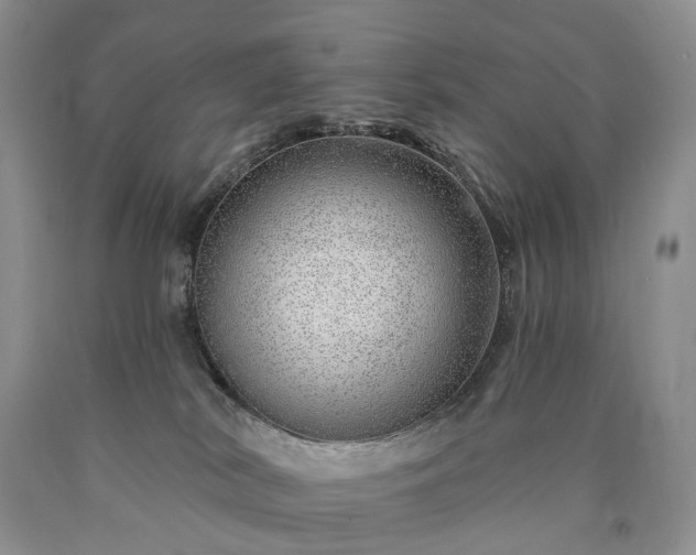 X0000090460038200707201343