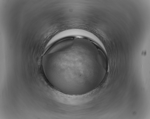 X0000090460039200707201343