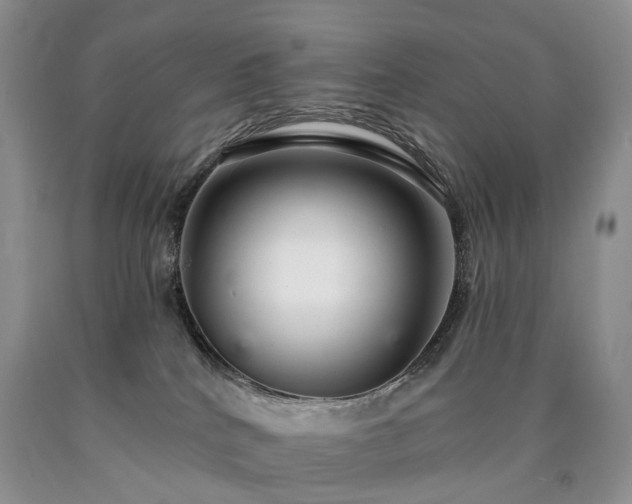 X0000090460040200707201343