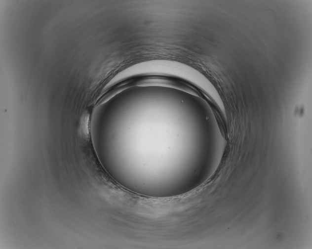 X0000090460041200707201343