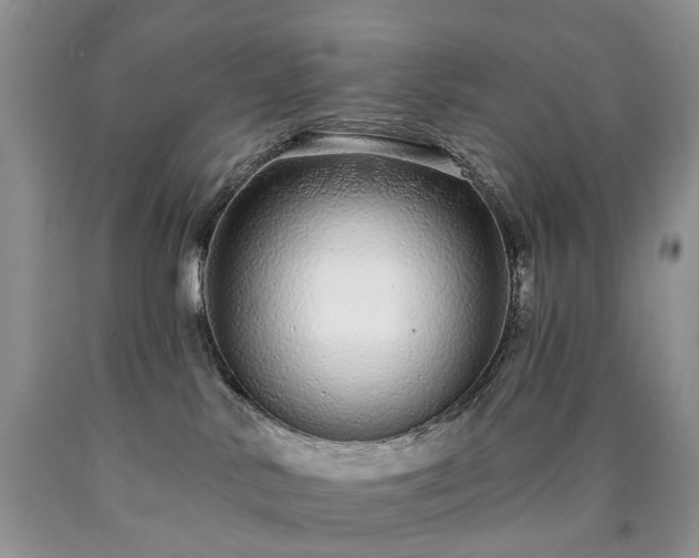 X0000090460042200707201343