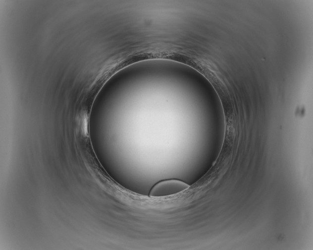 X0000090460046200707201343