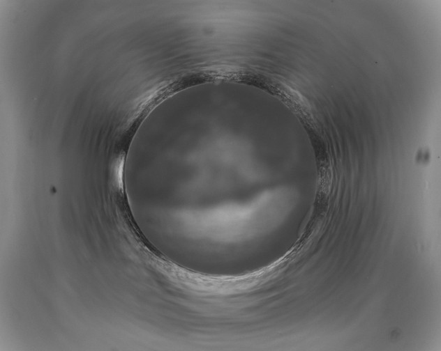X0000090460047200707201343