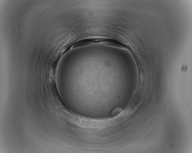 X0000090460048200707201343