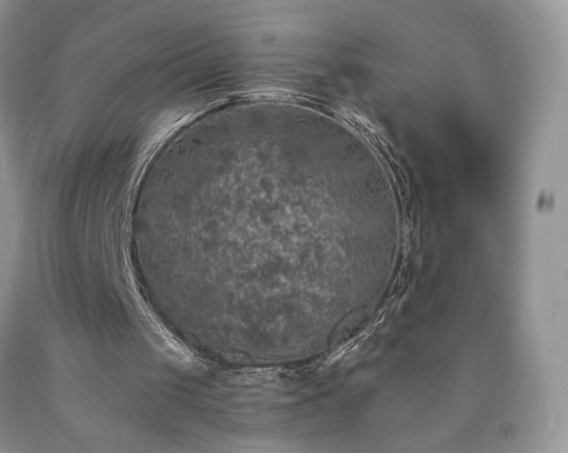 X0000090460049200707201342