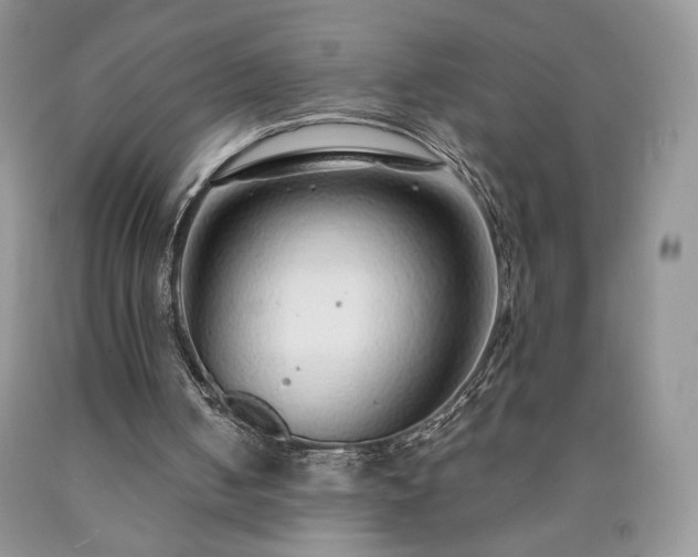 X0000090460050200707201342