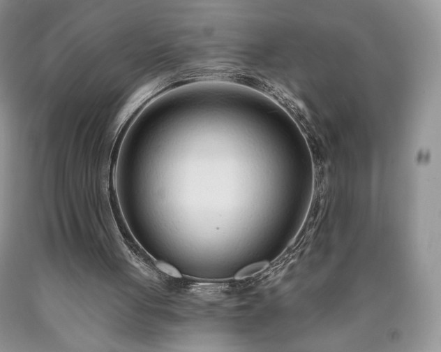 X0000090460051200707201342