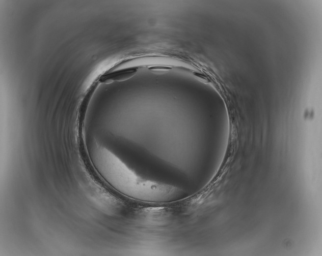 X0000090460054200707201342