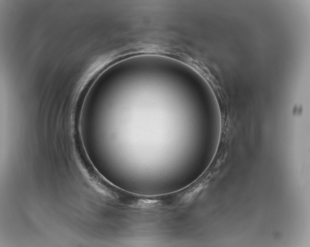 X0000090460055200707201342