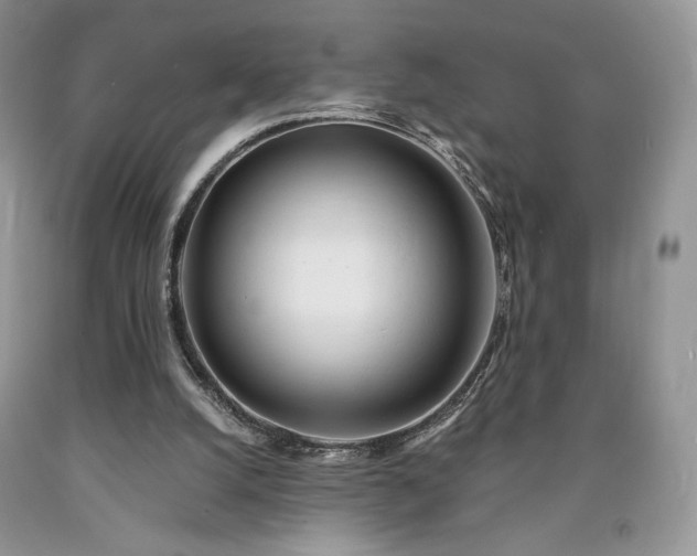 X0000090460056200707201342