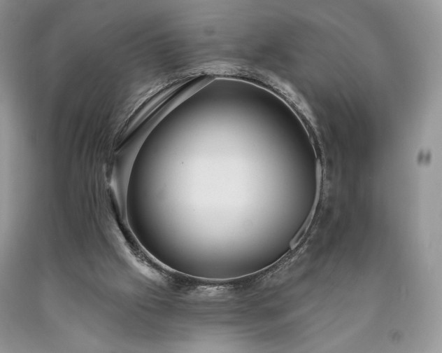 X0000090460057200707201342
