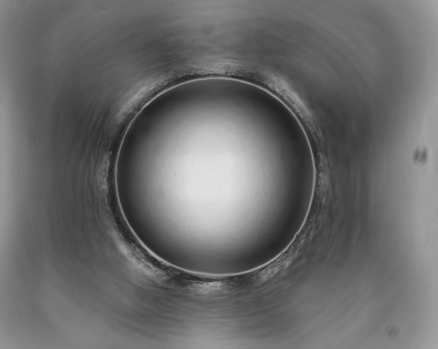 X0000090460058200707201342