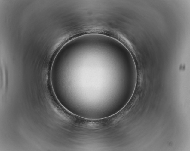 X0000090460059200707201342