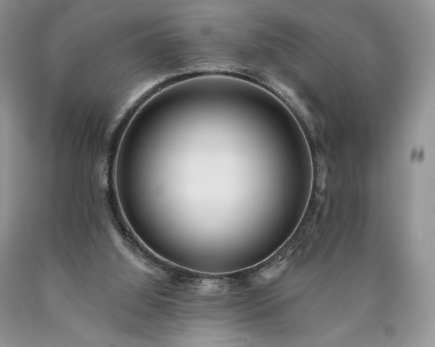 X0000090460060200707201342
