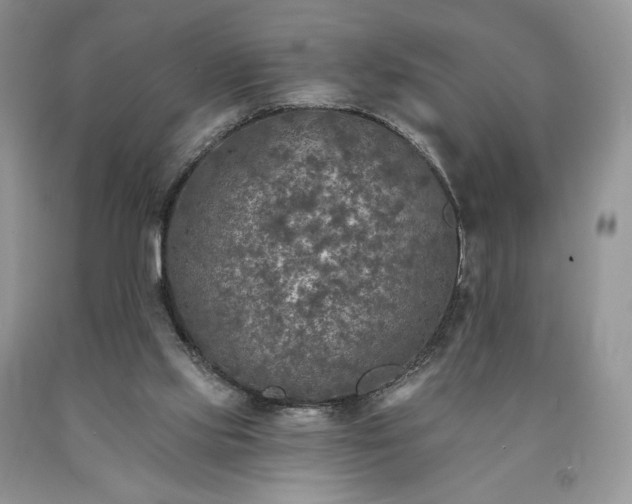 X0000090460061200707201342