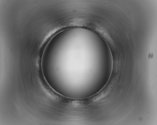 X0000090460064200707201342