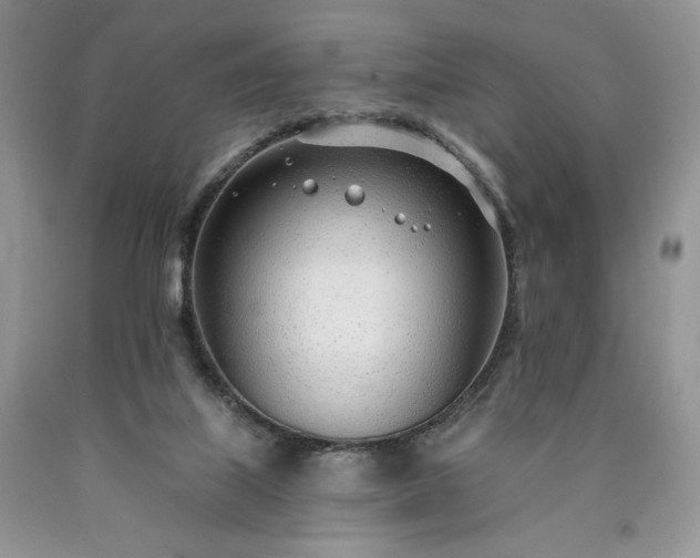 X0000090460067200707201342