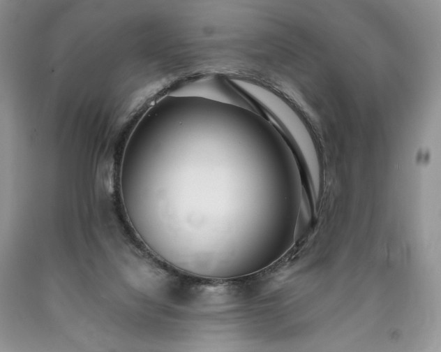 X0000090460068200707201342