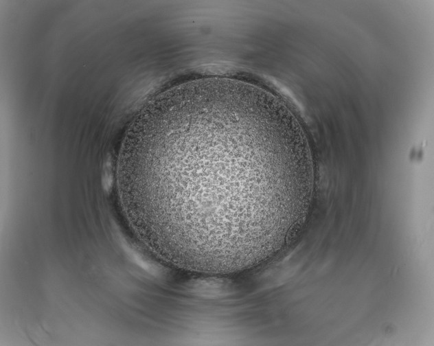 X0000090460069200707201342
