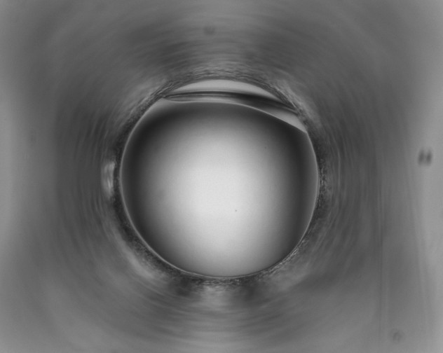 X0000090460070200707201342