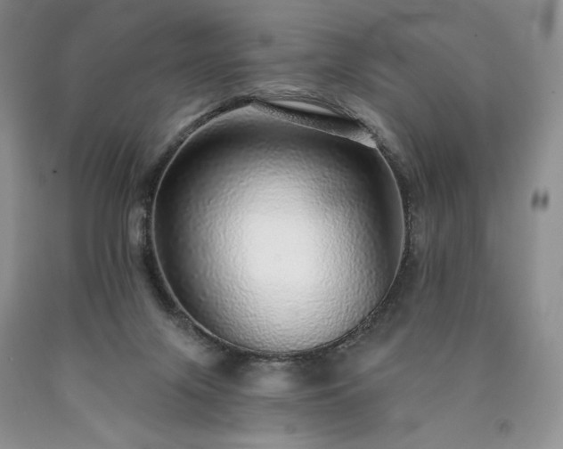 X0000090460071200707201342
