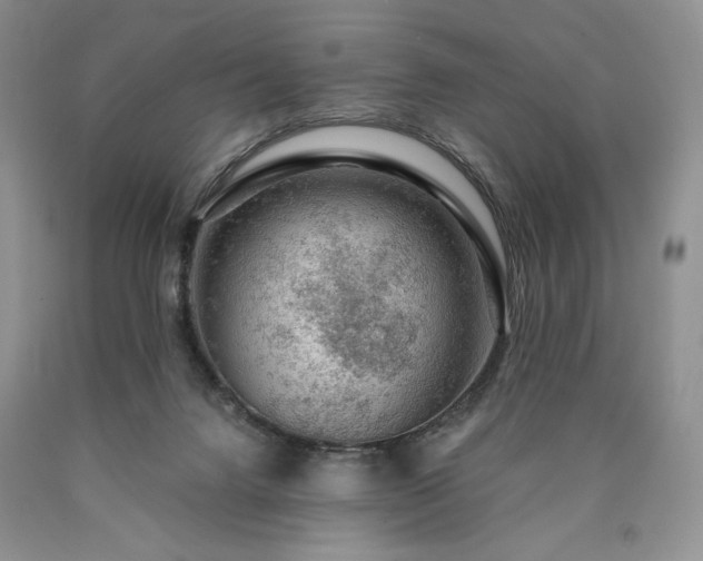 X0000090460072200707201342