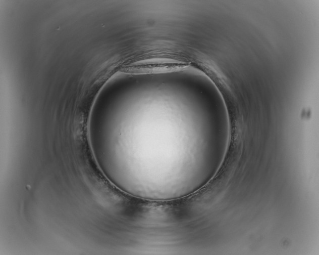 X0000090460073200707201342