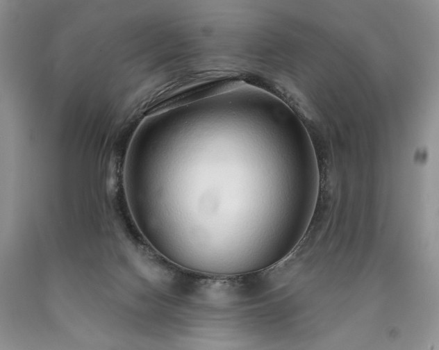 X0000090460074200707201342