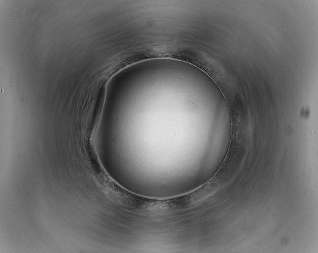 X0000090460075200707201342