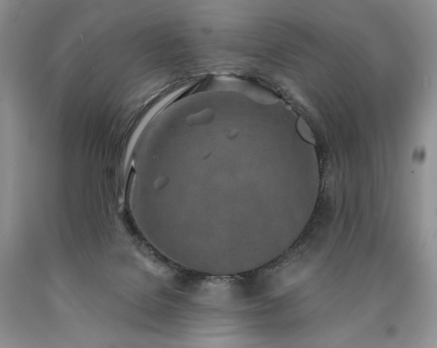 X0000090460076200707201342