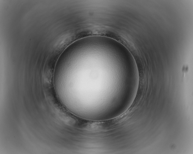 X0000090460078200707201342