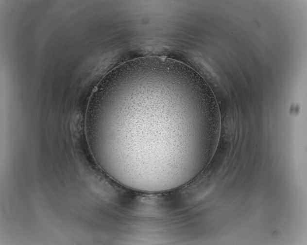 X0000090460079200707201342