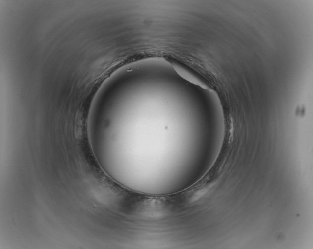 X0000090460080200707201342