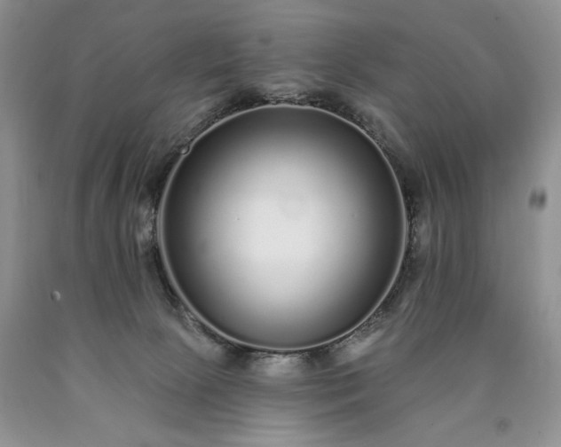 X0000090460081200707201342